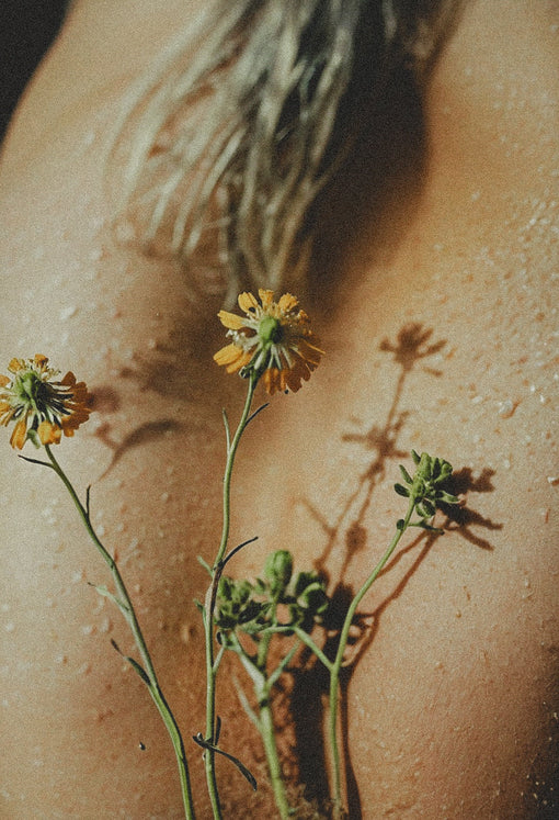 Natuurlijk Collageen: Waarom de herkomst belangrijk is