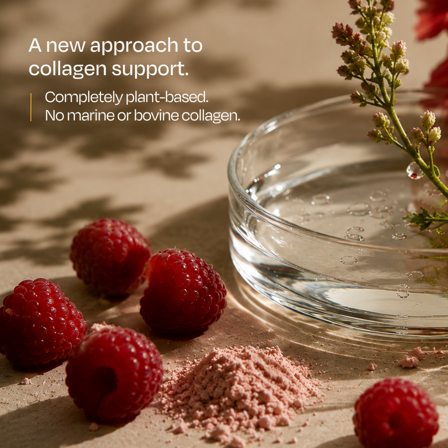 The Skin Code | Vegan Collageen Formule
