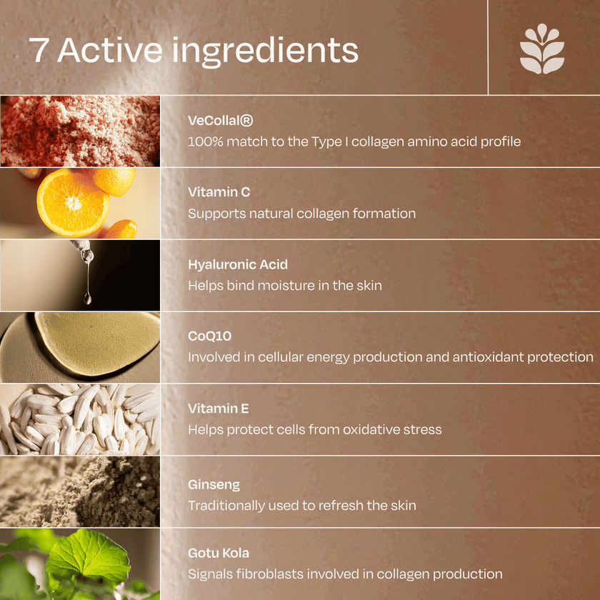 The Skin Code Ingredients