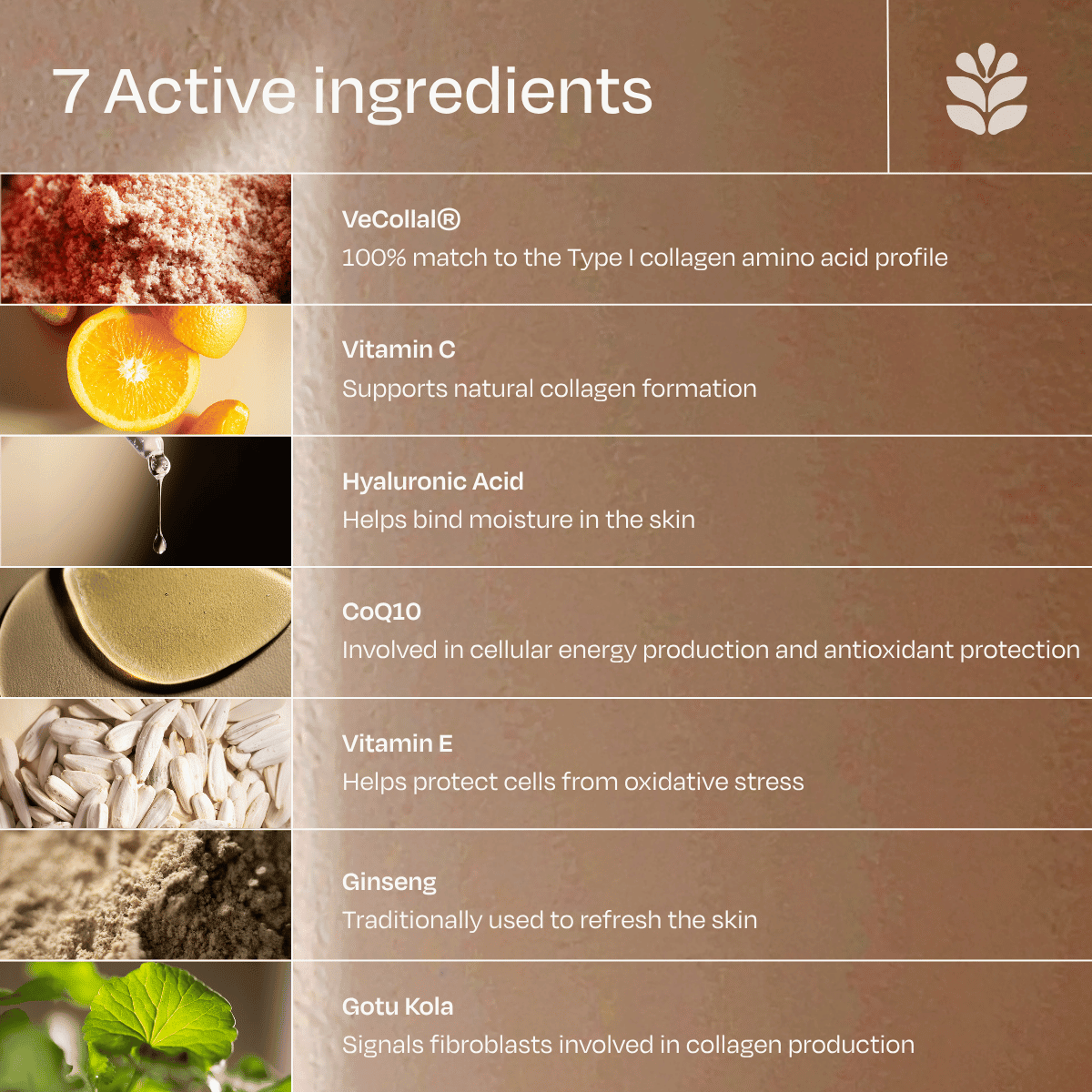 Ingrediënten van The Skin Code® met aminozuren, vitamine C en hyaluronzuur