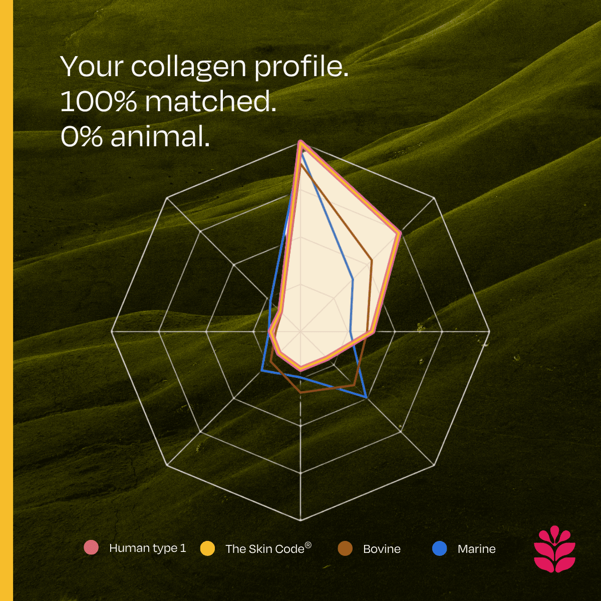 The Skin Code® – Vegan Collageenmatch - Juve Naturals