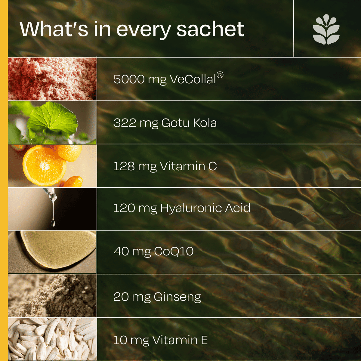 The Skin Code® – Vegan Collageenmatch - Juve Naturals